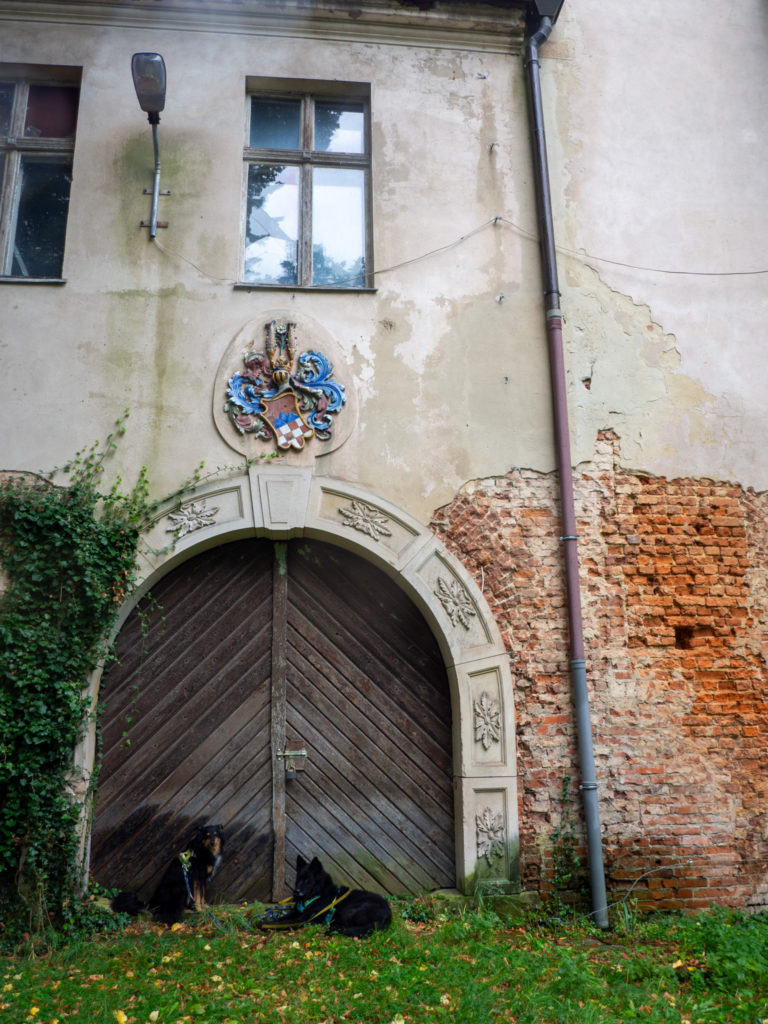 Zamek w Dąbrowie, opolskie, zwiedzanie z psem